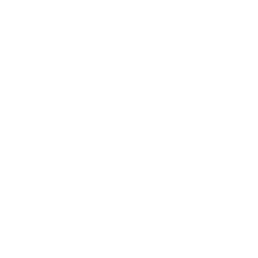 software development
